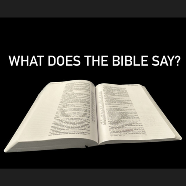 The What Does It Say? Podcast